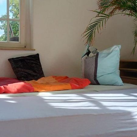 Forrest Apartments In Freiberg Min Stay 2 Nights Max Number Of Guest 1 Aprt 1 Exterior foto