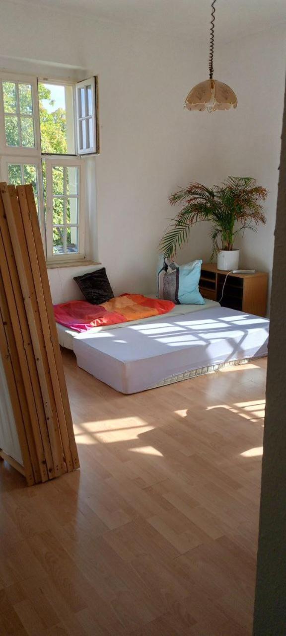 Forrest Apartments In Freiberg Min Stay 2 Nights Max Number Of Guest 1 Aprt 1 Exterior foto