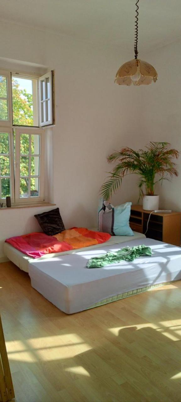Forrest Apartments In Freiberg Min Stay 2 Nights Max Number Of Guest 1 Aprt 1 Exterior foto