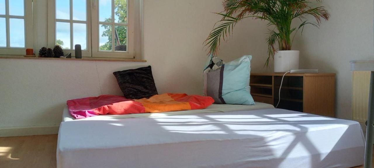 Forrest Apartments In Freiberg Min Stay 2 Nights Max Number Of Guest 1 Aprt 1 Exterior foto