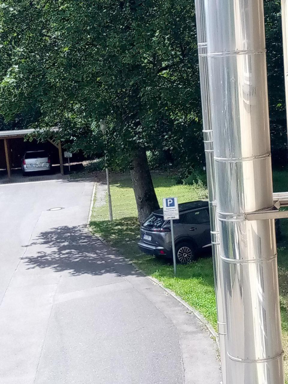 Forrest Apartments In Freiberg Min Stay 2 Nights Max Number Of Guest 1 Aprt 1 Exterior foto